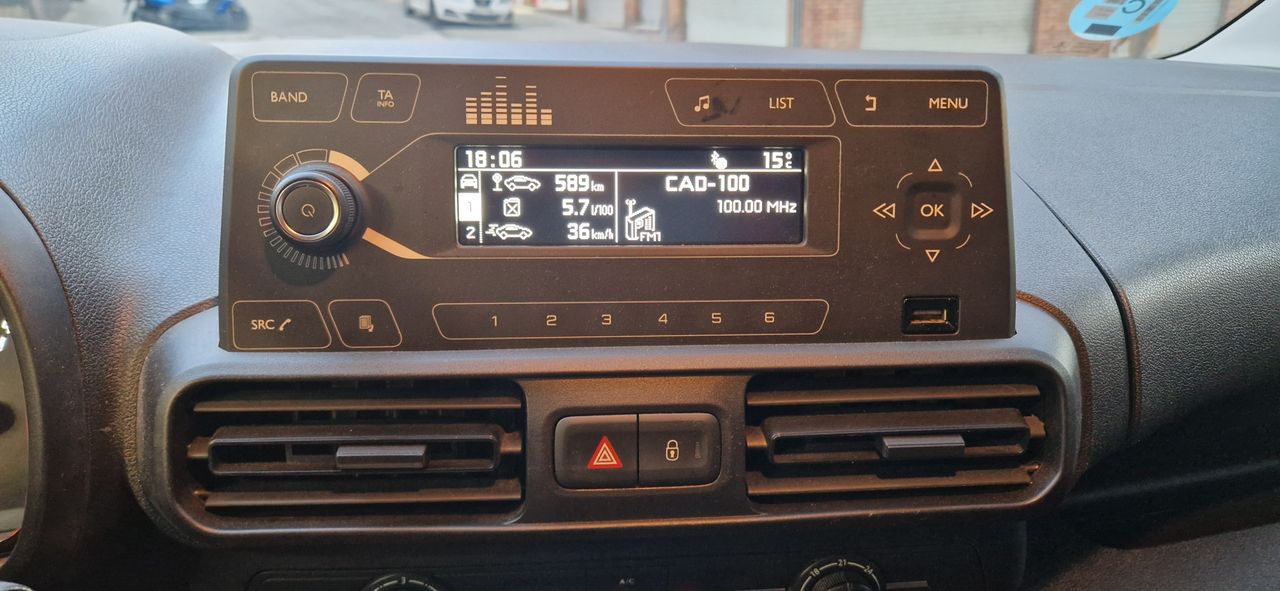 Foto Citroën Berlingo  Furgon 14