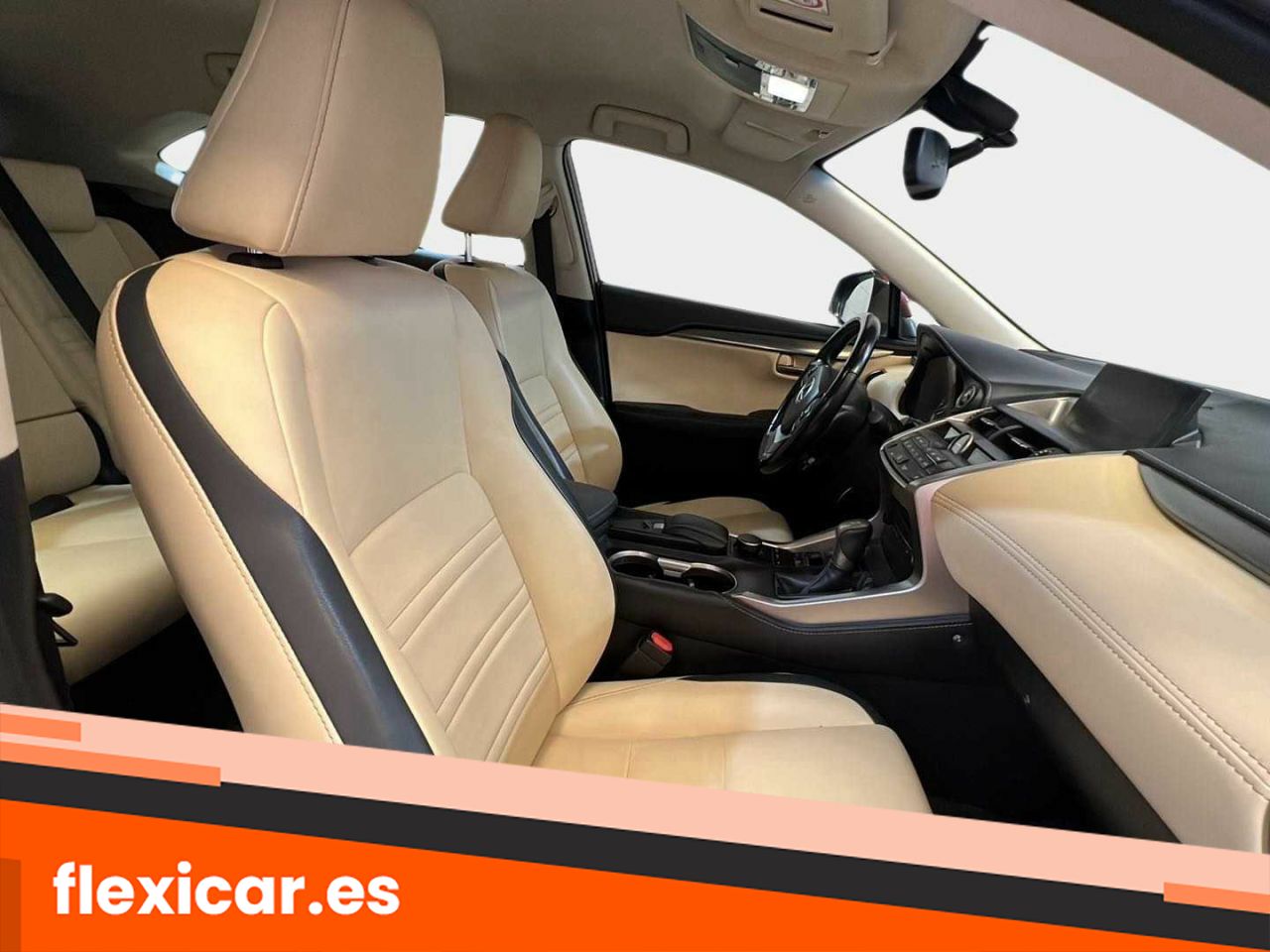 Foto Lexus NX 13