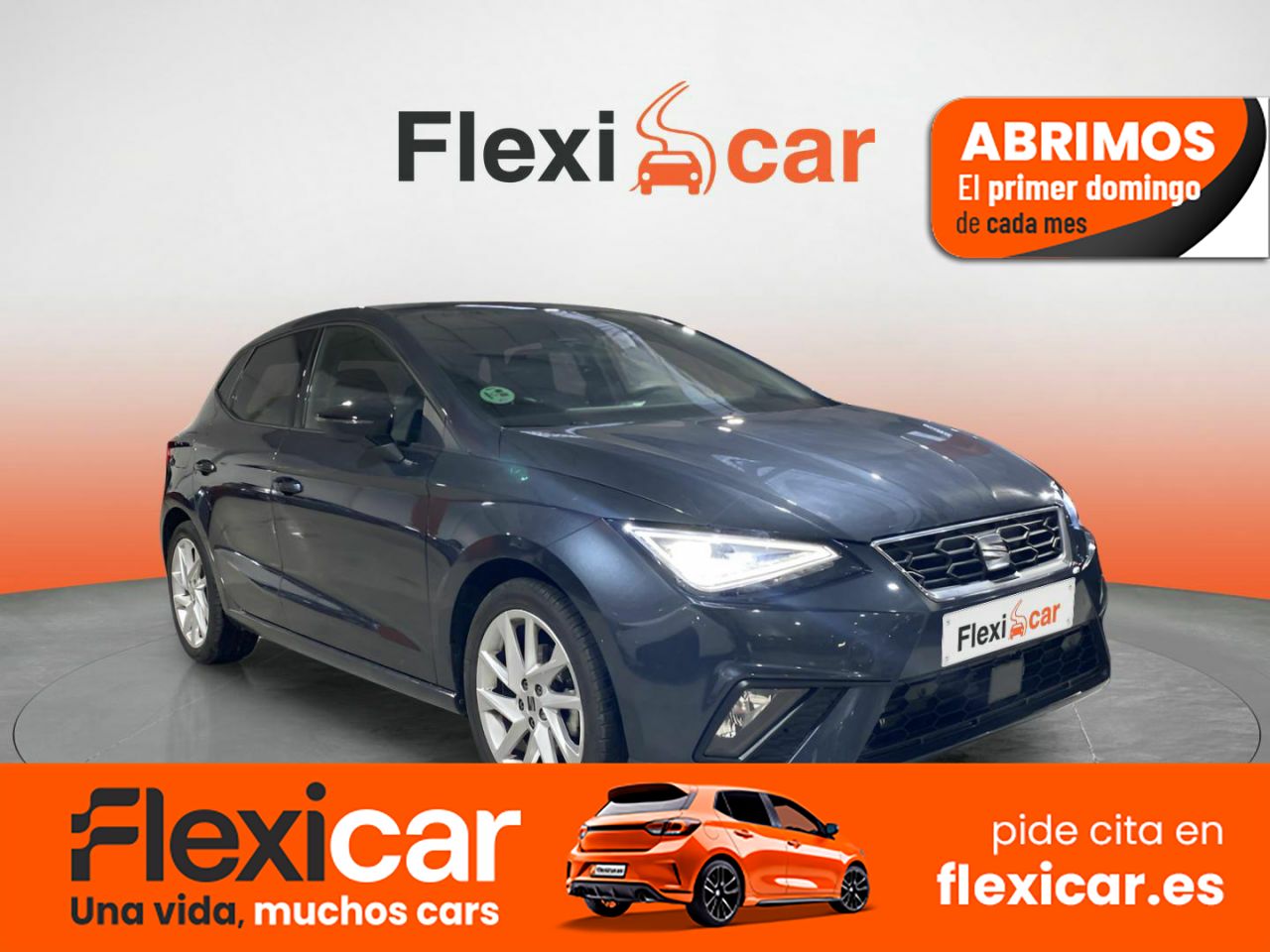 Foto Seat Ibiza 1