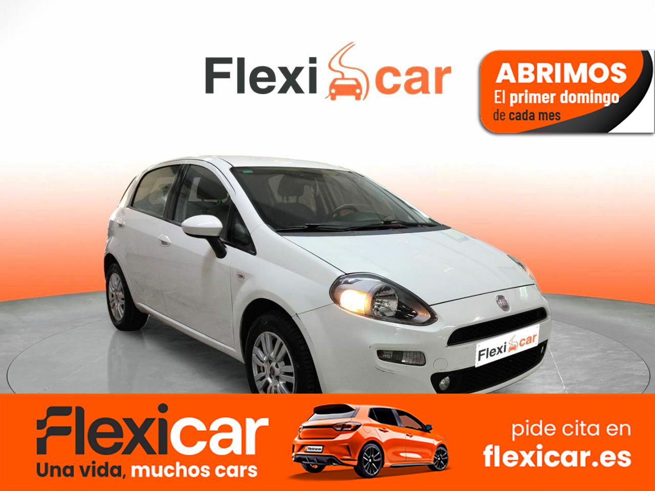 Foto Fiat Punto 1