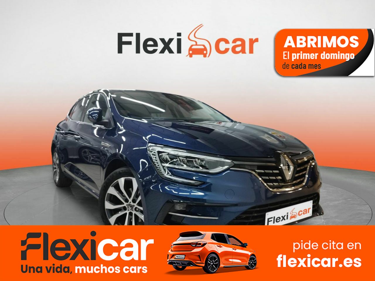 Foto Renault Mégane 1