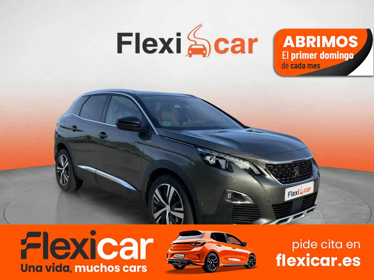 Foto Peugeot 3008 1