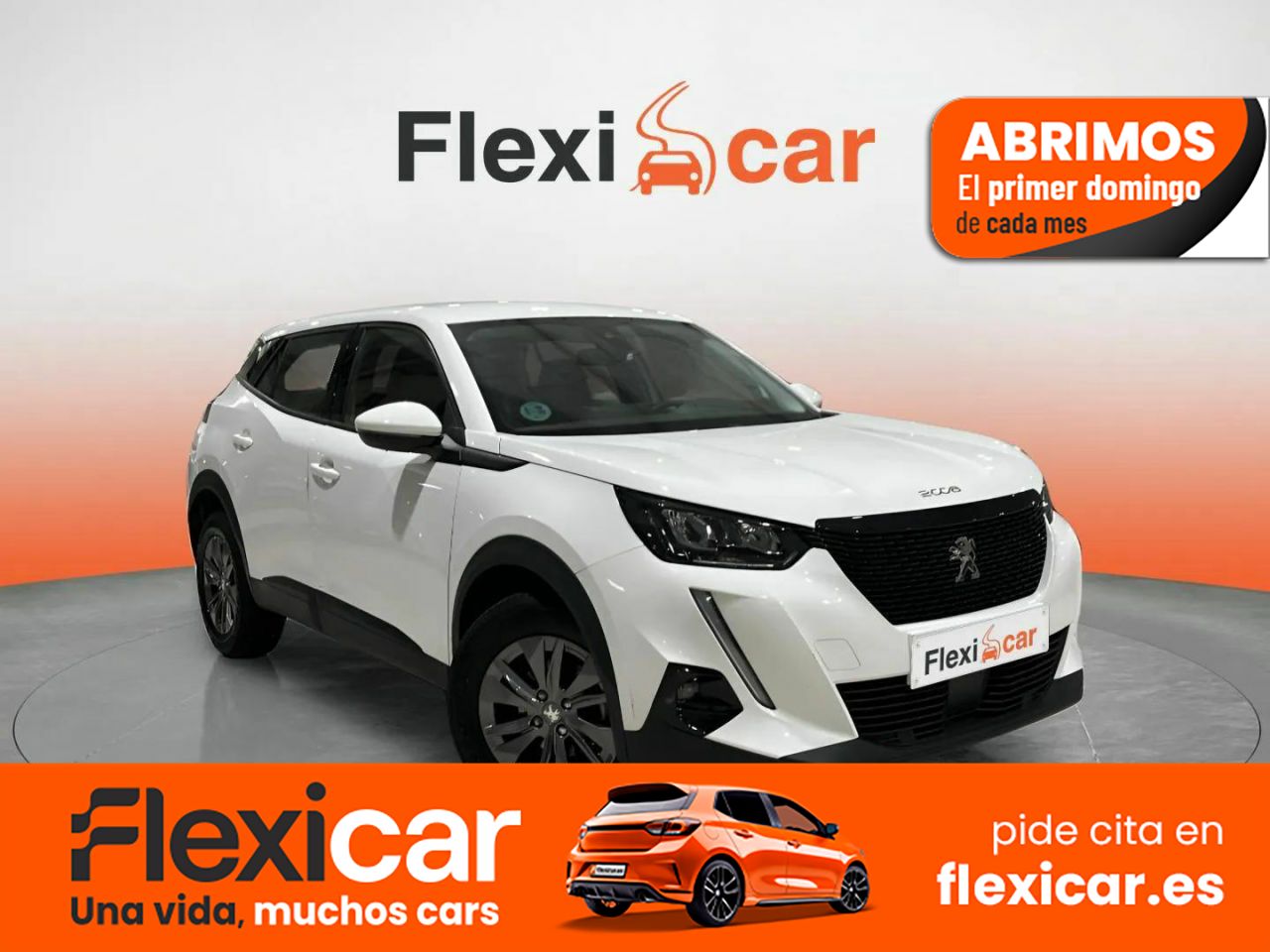 Foto Peugeot 2008 1