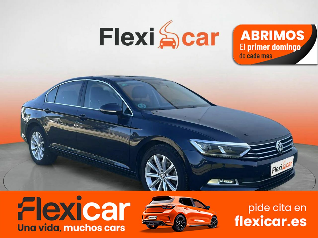 Foto Volkswagen Passat 1