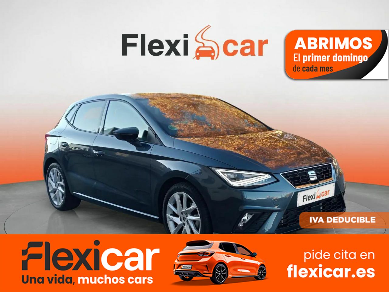 Foto Seat Ibiza 1