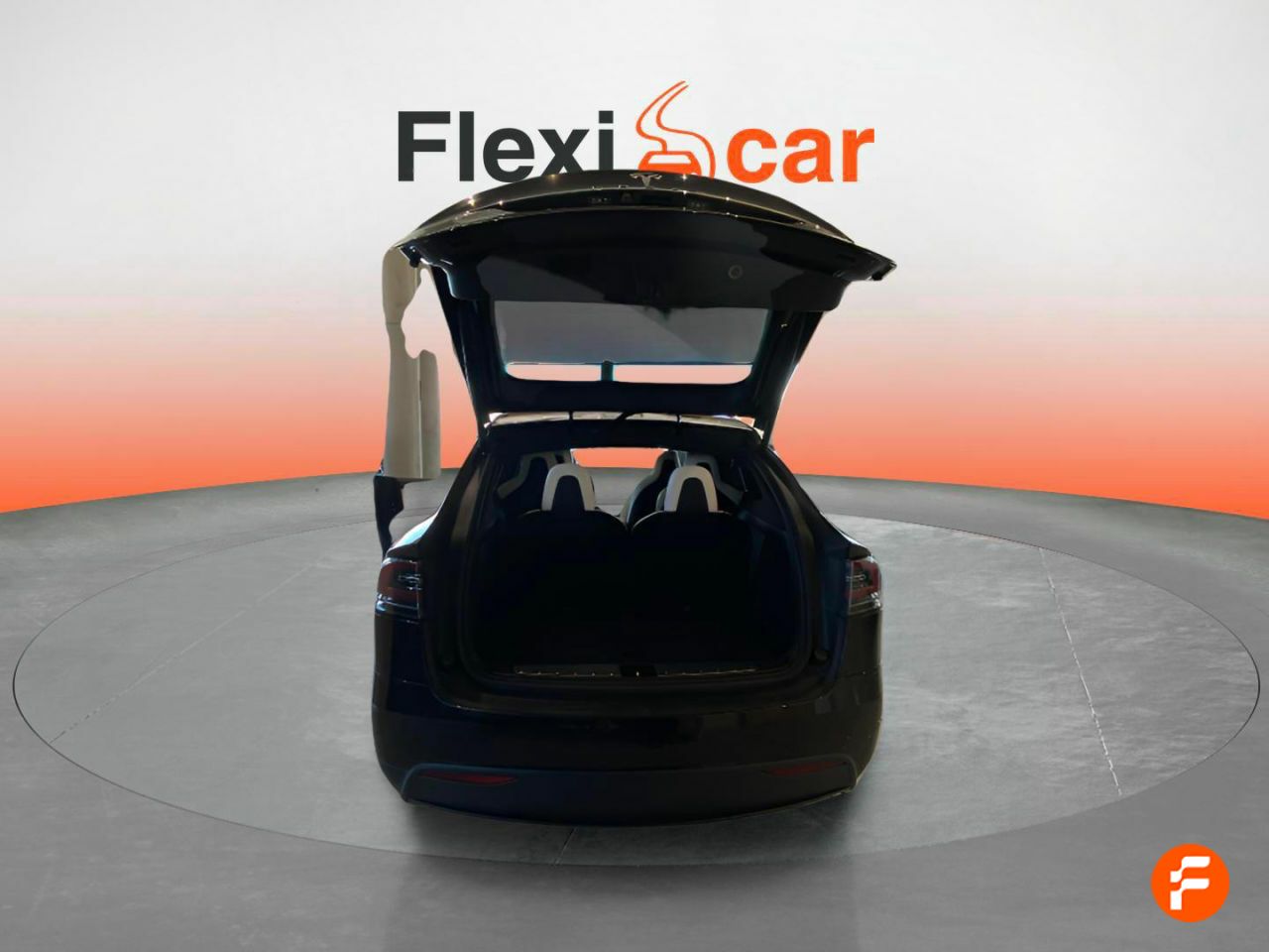 Foto Tesla Model X 18