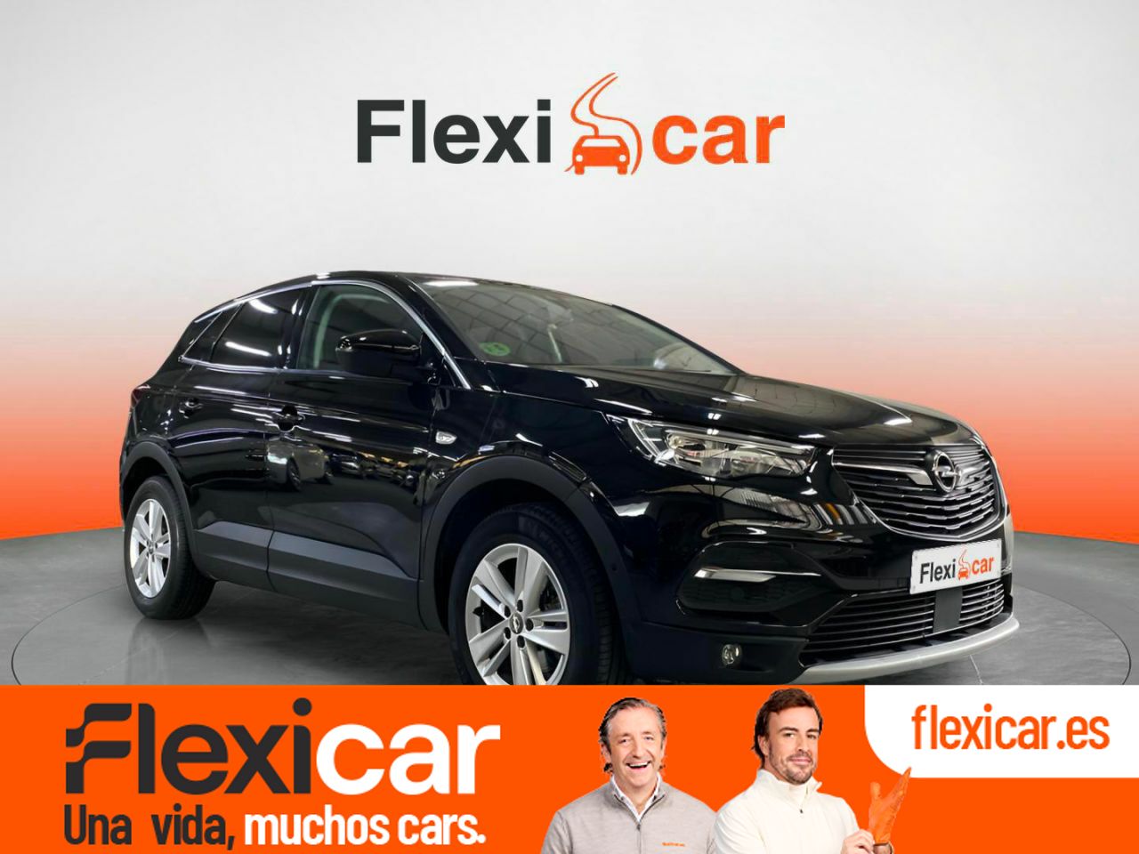 Foto Opel Grandland X 1