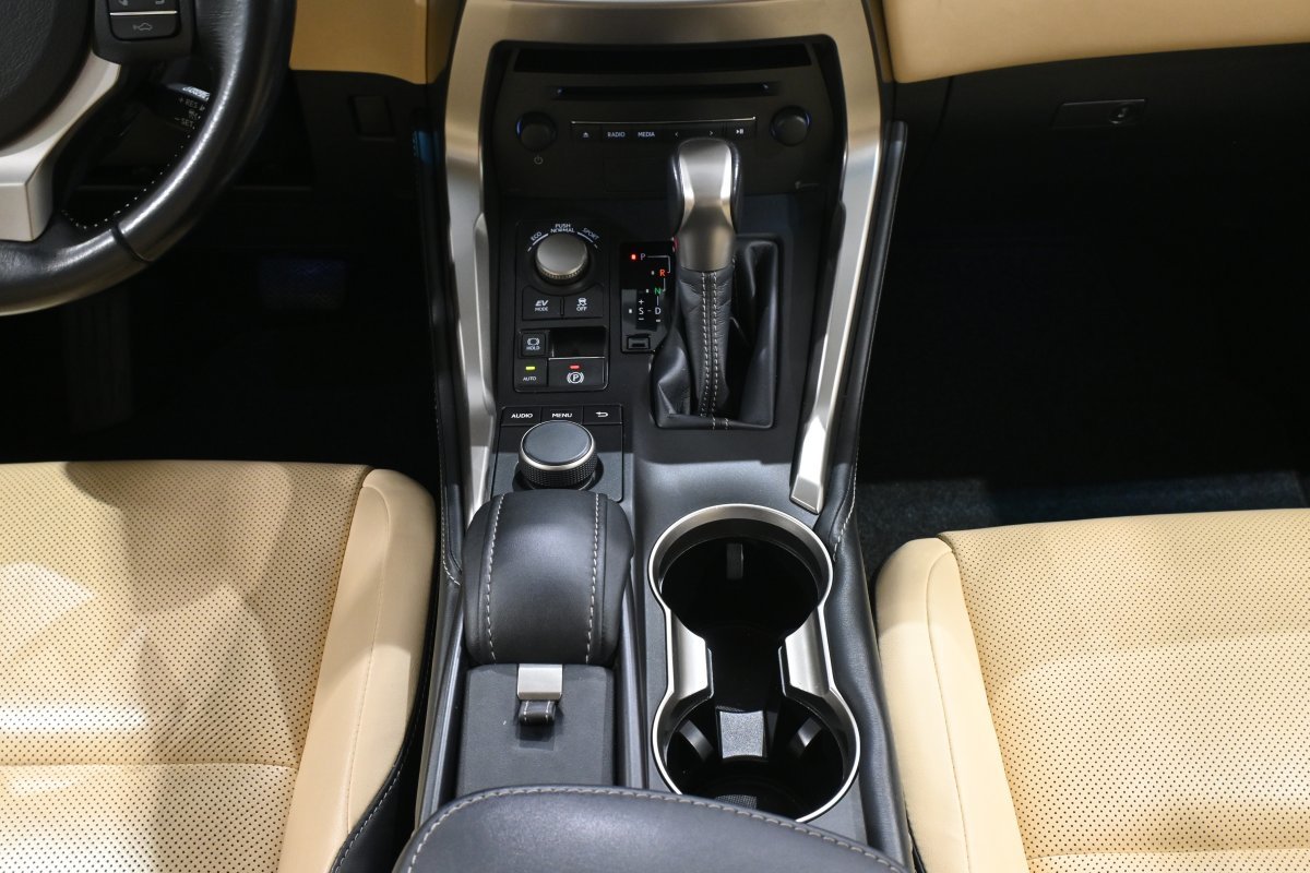 Foto Lexus NX 21