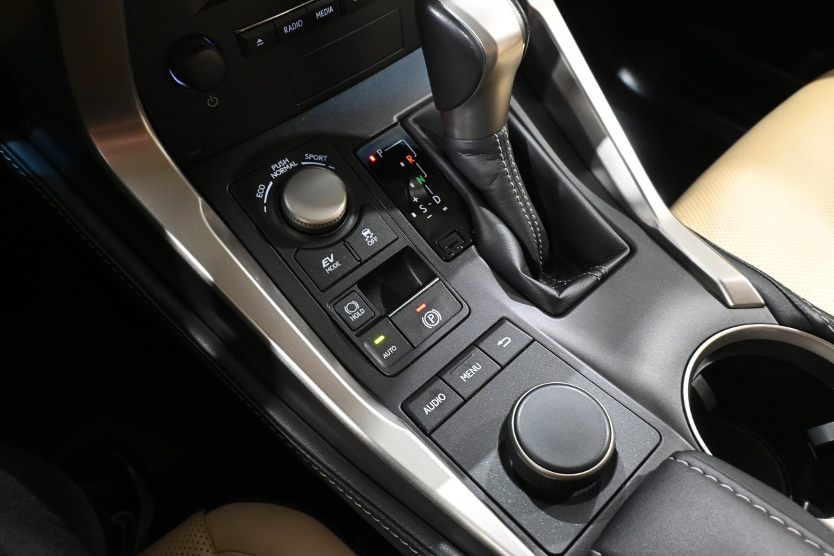 Foto Lexus NX 22