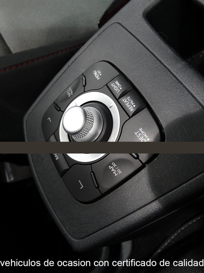 Foto Renault Grand Scénic 29