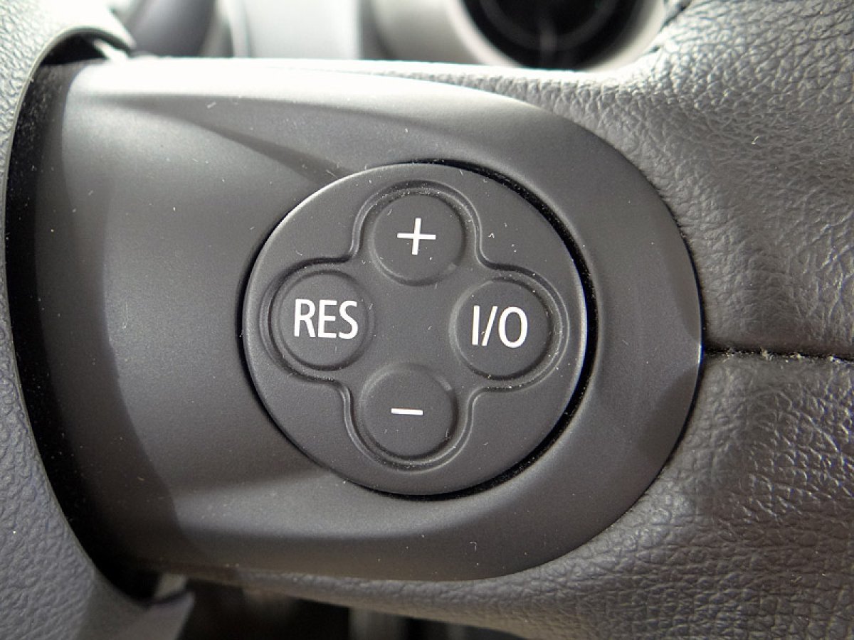 Foto Mini Countryman 41